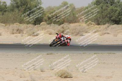 media/Apr-26-2025-BRL Bagger Racing League (Sat) [[9e270f465f]]/9-Bagger GP and Pro Stock Race/